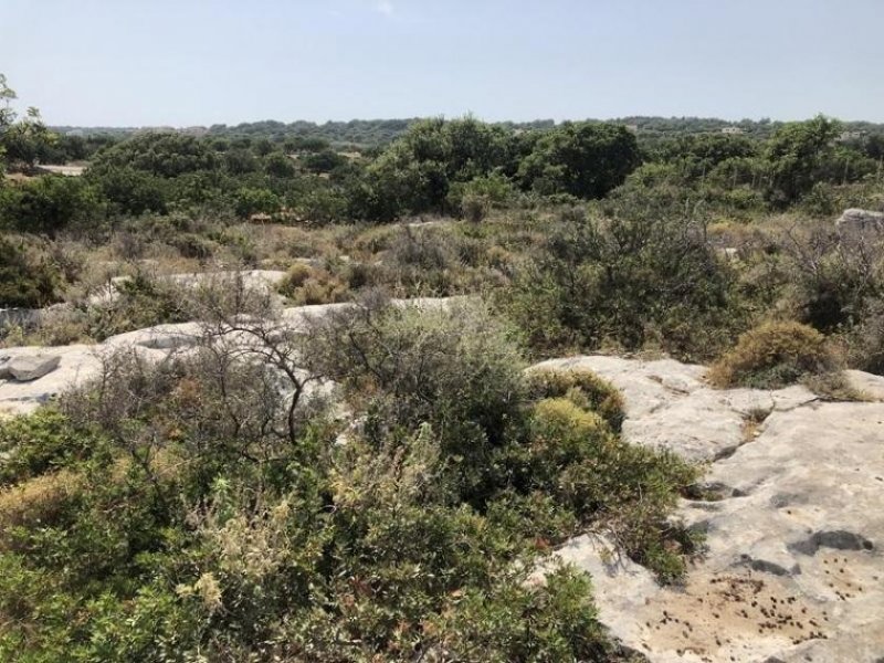 Gerani bei Rethymno Kreta, Gerani: Erstklassiges Grundstück mit Meerblick nahe Rethymno zu verkaufen Grundstück kaufen